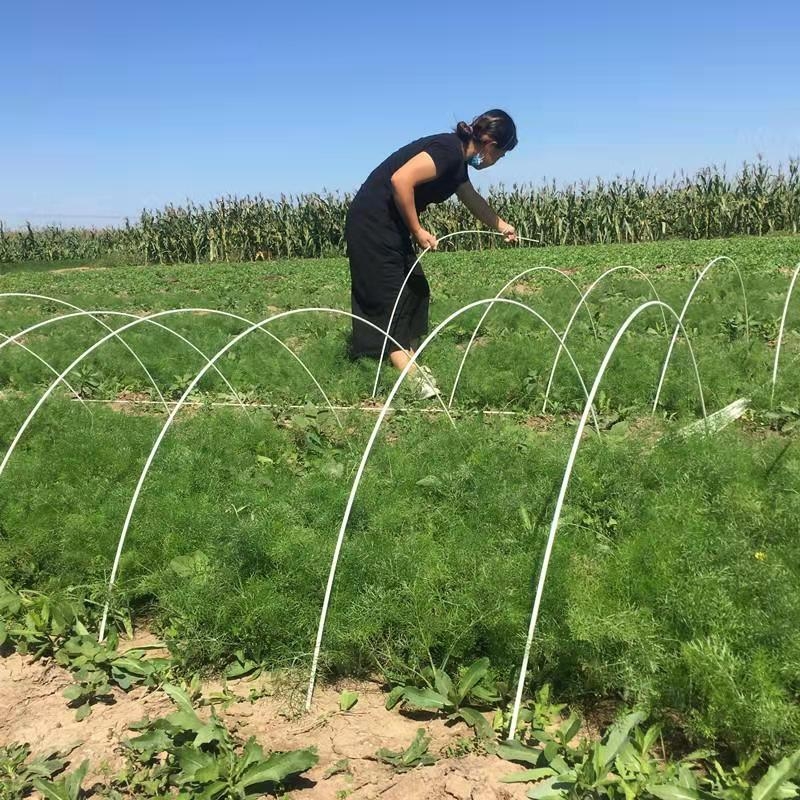 Aste In Fibra Di Vetro Per Il Supporto Agricolo